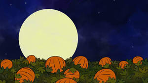 Charlie Brown Pumpkin Patch Wallpaper