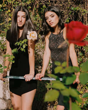 Charlie Damelio Dixie Damelio Wallpaper