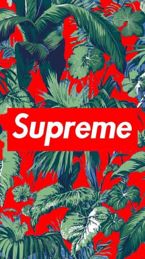 Check Out This Stylish And Modern Supreme Iphone Wallpaper