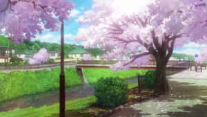 Cherry Blossom Bliss Anime Scene.jpg Wallpaper