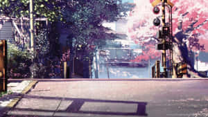 Cherry Blossom Street Anime Scene Wallpaper