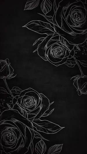 Chic Black Rose Iphone Wallpaper Wallpaper