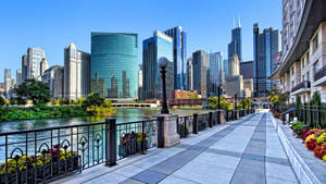 Chicago Sidewalk River Wallpaper