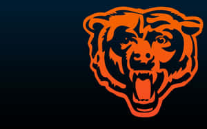 Chicago Sports Orange Bears Mascot Wallpaper