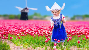 Child In Keukenhof Garden With Pink Tulips Wallpaper