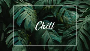 Chill Minimalist Plant Desktop Wallpaper