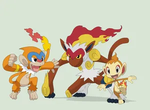 Chimchar With Monferno And Infernape Wallpaper