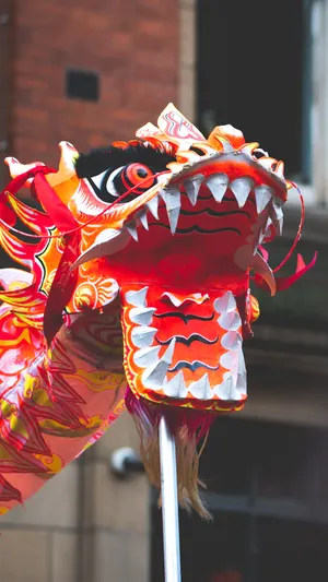 Chinese New Year Dragon Dance Wallpaper