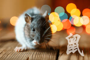Chinese Symbol Rat Wallpaper
