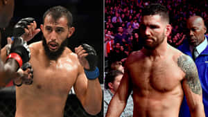 Chris Weidman Dominick Reyes Wallpaper