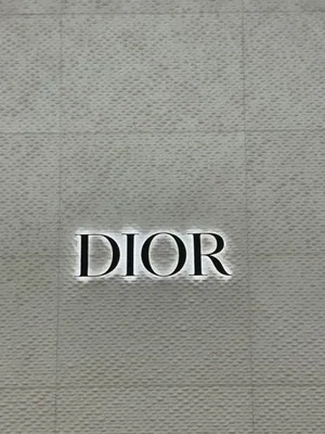 Christian Dior Logo Display Wallpaper