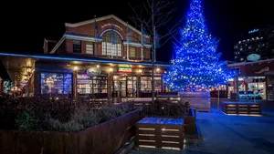Christmas Tree In Byward Market Square, Ottawa Wallpaper