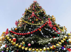 Christmas Tree With Colorful Ball Garland Wallpaper