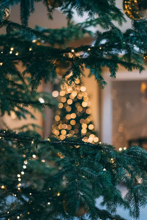 Christmas Tree With String Lights Wallpaper