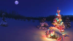 Christmas Trees On A Winter Holiday Season Wallpaper