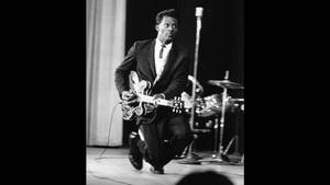 Chuck Berry New York 1966 Wallpaper