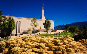 Church Of Jesus Christ Albuquerque Wallpaper