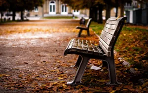 Church Side Bench Wallpaper