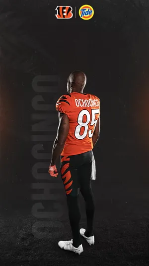 Cincinnati Bengals Chad Ochocinco Johnson Wallpaper