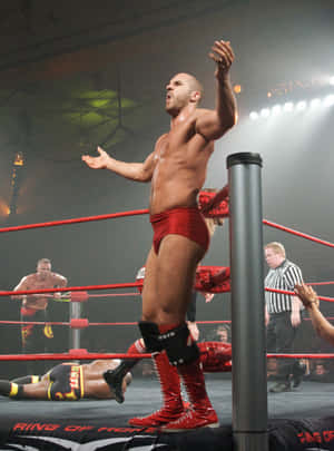 Claudio Castagnoli Ring Of Honor Show 2011 Wallpaper