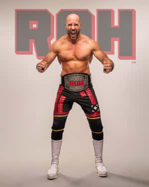 Claudio Castagnoli Roh Championship Belt Photoshoot Wallpaper