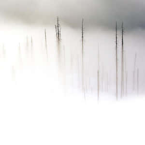 Clean And Modern Apple Ipad Wallpaper