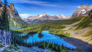 Clear Blue Sky Of Rocky Mountain National Park Wallpaper