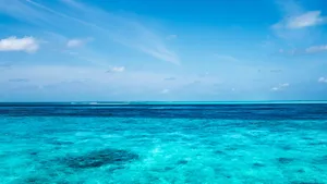 Clear Sea Waters Horizon Wallpaper