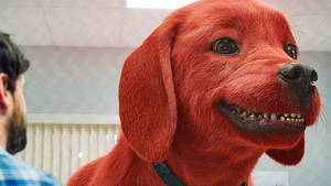 Clifford The Big Red Dog With A Bright Smile Wallpaper