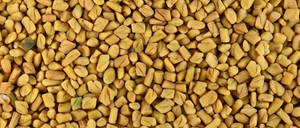 Close Up Of Fenugreek Seeds Wallpaper
