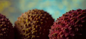 Close Up Shot Of Ripe Pulasan Fruits Wallpaper