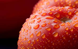 Close Up Tomato Fruits Shot Wallpaper