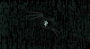 Codes Of Kali Linux Wallpaper