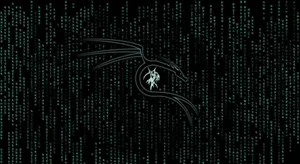 Codes Of Kali Linux Wallpaper