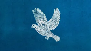Coldplay Ghost Stories Dove Album Art Wallpaper