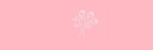 Color Pink With Line Art Roses Twitter Header Wallpaper