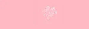Color Pink With Line Art Roses Twitter Header Wallpaper