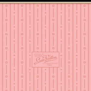 Colorful And Stylish Louis Vuitton Pink Bag Wallpaper