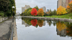 Colorful Autumn Trees By The Rideau Canal In Ottawa Wallpaper