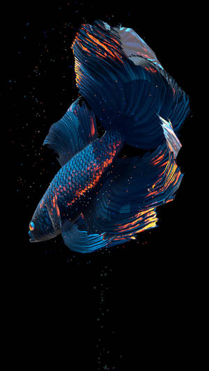 Colorful Big Blue Fish Captured In Its Natural Habitat Wallpaper