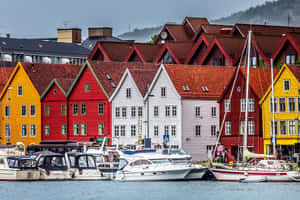 Colorful Bryggen Harbor Bergen Norway Wallpaper