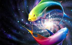 Colorful Fish Pisces Symbol Wallpaper