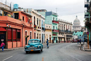 Colorful Pastel Vintage Buildings Wallpaper