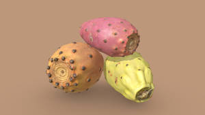 Colorful Prickly Pear Wallpaper