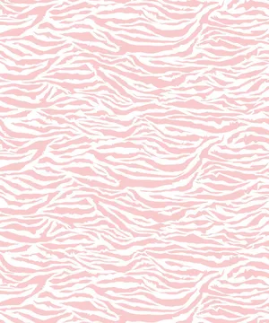 Colorful Stripes Of Pink Zebra Wallpaper