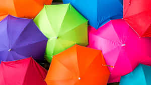 Colorful Umbrella Array Wallpaper