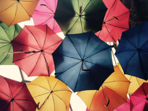 Colorful Umbrella Canopy Art Installation Wallpaper