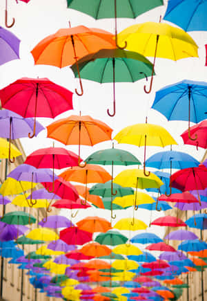 Colorful Umbrella Canopy Wallpaper
