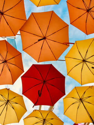 Colorful Umbrellas Sky View Wallpaper