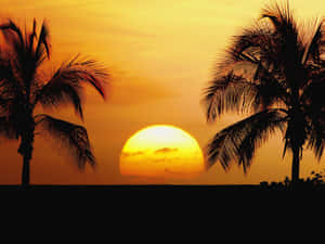 “colors Of Paradise, Hawaii Sunset.” Wallpaper